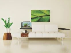 Fluval Spec 5 Desktop Aquarium 19L Black -Sea View Aquarium Shop 10516 fl spec5 19l 5gal lvgrm bty int