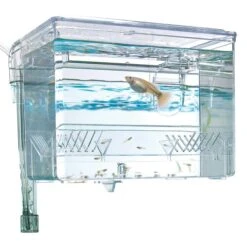 Fluval Hang-On Breeding Box 16.5x12.5x12cm -Sea View Aquarium Shop 10942 product