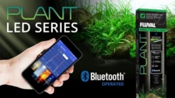 Fluval Plant LED Bluetooth 3.0 / 61-85cm - 32w -Sea View Aquarium Shop 3.0plantseries