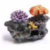 3 Corals On Live Rock Large -Sea View Aquarium Shop 3coralsonliverocklarge