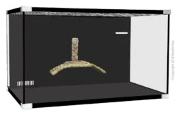 Reptile One Turtle Eco 60 Tank – Michelangelo