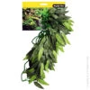 Reptile One Green Tradescantia Cascading Plant 40cm 1 Reptile One Green Tradescantia Cascading Plant 40cm -Sea View Aquarium Shop 46767