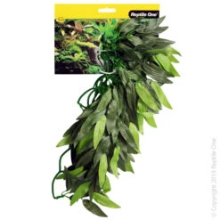 Reptile One Green Tradescantia Cascading Plant 40cm