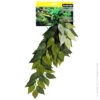 Reptile One Green Varigated Ivy Cascading Plant 40cm 1 Reptile One Green Varigated Ivy Cascading Plant 40cm -Sea View Aquarium Shop 46769