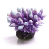 Acropora Purple/Aqua -Sea View Aquarium Shop acroporapurpleaqua
