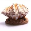 Air Operated Clam On Sand 1 Air Operated Clam On Sand -Sea View Aquarium Shop air operatedclamonsand