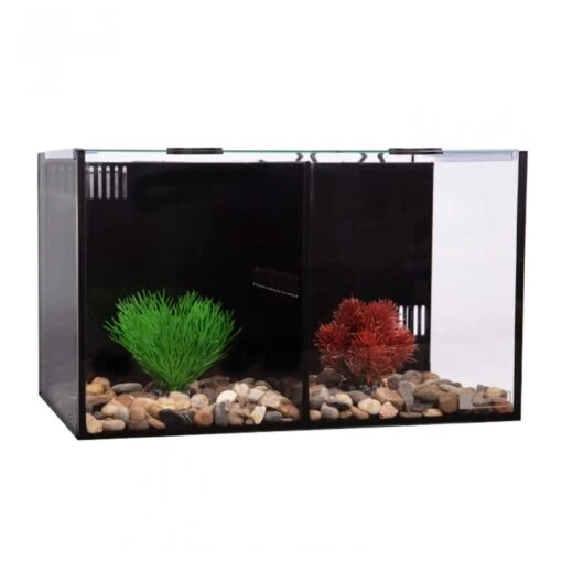 Aqua One Betta Condo Duo -Sea View Aquarium Shop aqua onebettaduo