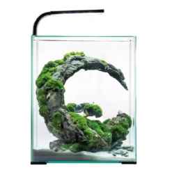 AquaEL Shrimp Set Day & Night 30 Black -Sea View Aquarium Shop aquaelshrimpset30 1