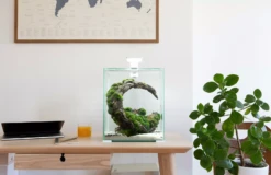 AquaEL Shrimp Set Day & Night 30 Black -Sea View Aquarium Shop aquaelshrimpset30whiteondesk 1