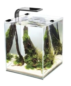 AquaEL Shrimp Set Day & Night 30 Black