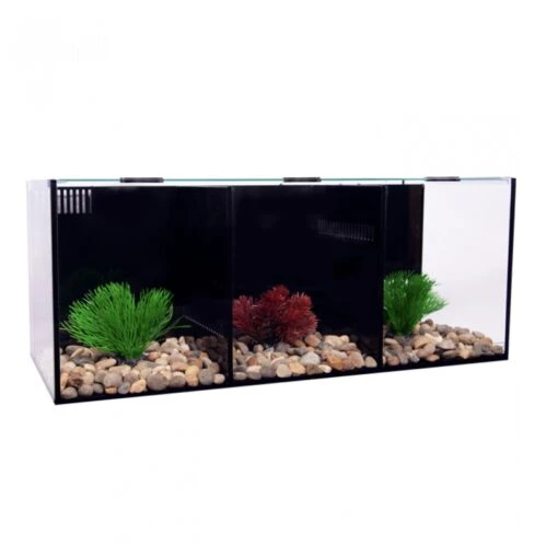 Aqua One Betta Condo Trio -Sea View Aquarium Shop aquaonebettatrio
