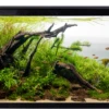 Aqua One Lifestyle 190 Aquarium Black -Sea View Aquarium Shop aquaonelifestyleaquarium190black