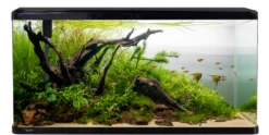 Aqua One Lifestyle 190 Aquarium Black