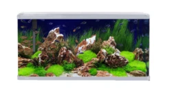 Aqua One Lifestyle 190 Aquarium Black -Sea View Aquarium Shop aquaonelifestyleaquarium190white