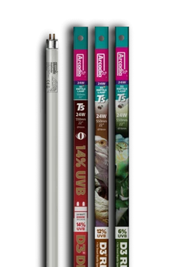 Arcadia Pro T5 24W UVB Lighting Kit + 12% UVB Lamp -Sea View Aquarium Shop arcadiat5reptilelamp