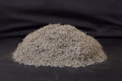 Australian Black Worms Loose 10g -Sea View Aquarium Shop australianblackwormloose