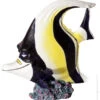 Banner Fish 'Gill' -Sea View Aquarium Shop bannerfish