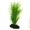 Betta Green Fern On Rock 2 Betta Green Fern On Rock -Sea View Aquarium Shop bettagreenfernonrock