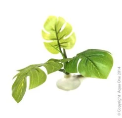 Betta Hammock Green Plant