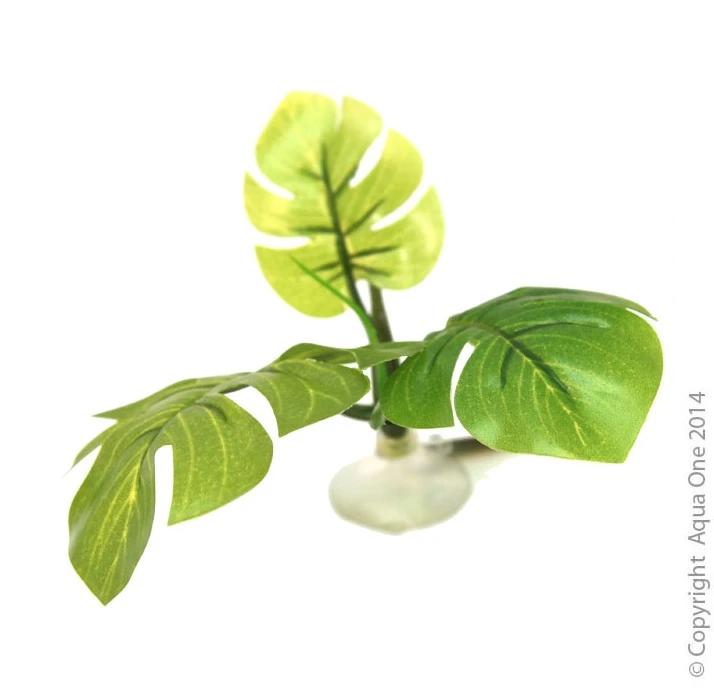 Betta Hammock Green Plant 3 Betta Hammock Green Plant