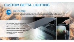 Fluval Betta Premium Aquarium Kit 10L -Sea View Aquarium Shop bettalightingled