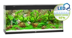 Juwel Rio 240 LED Aquarium - White -Sea View Aquarium Shop blackjuwel240aquarium