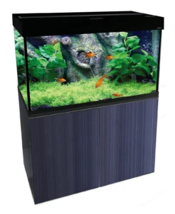 Aqua One Brilliance 80 Black