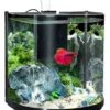 Aqua One BT 10 Betta Aquarium (10L) BLACK -Sea View Aquarium Shop bt10