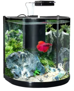 Aqua One BT 10 Betta Aquarium (10L) BLACK