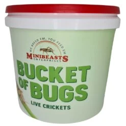 MiniBeasts Bulk Cricket Bucket Small