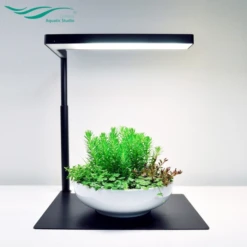 Chihiros C2 Series Base Stand -Sea View Aquarium Shop c2basewithplant