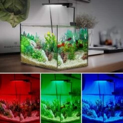 Chihiros C2 RGB LED (20W, 1580lm) 21 Chihiros C2 RGB LED (20W, 1580lm) -Sea View Aquarium Shop c2colours