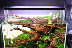 Chihiros Acrylic Stand For WRGB2 -Sea View Aquarium Shop chihiros acrylic stand for wrgb ii led lights2