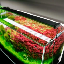 Chihiros B Series 90cm LED Non-Bluetooth Light 18 Chihiros B Series 90cm LED Non-Bluetooth Light -Sea View Aquarium Shop chihiros b series led lighting system chihiros aquatic studio 10