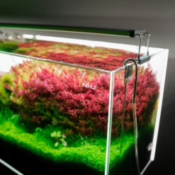 Chihiros B Series 90cm LED Non-Bluetooth Light 17 Chihiros B Series 90cm LED Non-Bluetooth Light -Sea View Aquarium Shop chihiros b series led lighting system chihiros aquatic studio 9