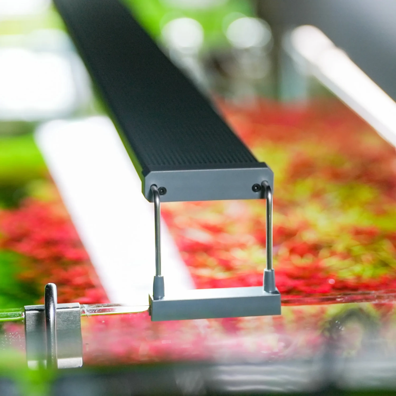 Chihiros B Series 90cm LED Non-Bluetooth Light 5 Chihiros B Series 90cm LED Non-Bluetooth Light - Image 3