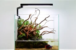 Chihiros C2 Freshwater LED (16W, 1500lm) -Sea View Aquarium Shop chihirosontank