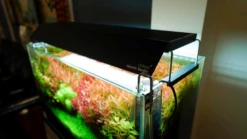 Chihiros Shade For WRGB2 30 And Slim 30 - 30cm 8 Chihiros Shade For WRGB2 30 And Slim 30 - 30cm -Sea View Aquarium Shop chihirosshadeforwrgb2