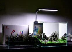 Chihiros C2 Freshwater LED (16W, 1500lm) -Sea View Aquarium Shop ciilight