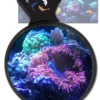 Flipper DeepSee Magnified Magnetic Aquarium Viewer 4" (10cm) -Sea View Aquarium Shop deepseeflipper