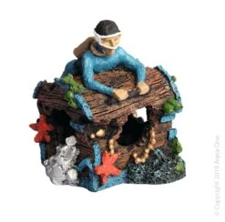 Diver On Treasure Chest