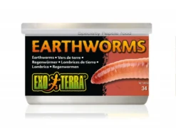 Exo Terra Canned Earthworms 34gm