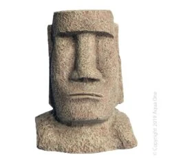 Easter Island Head