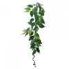 Eco Tech Hanging Ficus With Vine 60cm -Sea View Aquarium Shop ect56