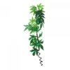 Eco Tech Hanging Albulliton With Vine 60cm -Sea View Aquarium Shop ect57