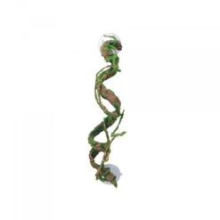Eco Tech Corkscrew Vine 40cm
