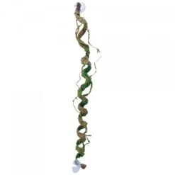 Eco Tech Giant Corkscrew Vine 80cm