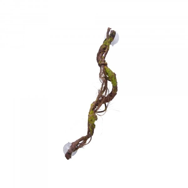 Eco Tech Multiple Vines With Moss Lichen 60cm 3 Eco Tech Multiple Vines With Moss Lichen 60cm