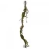 Eco Tech Multiple Twist Vines With Moss Lichen 80cm -Sea View Aquarium Shop ect84