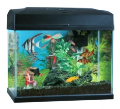 Blue Planet Classic Aquariums 20
